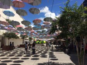 Chihuahua sombrillas, calle Libertad, photo by Jonah Warner, 29 agosto 2016