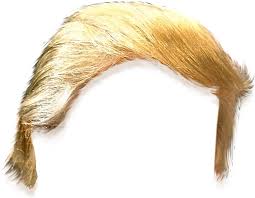 Trump's Hair
