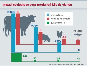 Impact écologique pour produire 1 kilo de viande (des vaches, des cochons, des poules et des insectes)