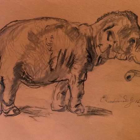 Copy of Rembrandt's Elephant, by William Eaton, Feb 2018