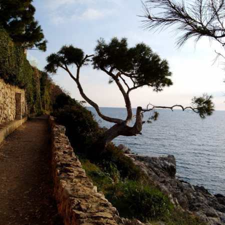 Cap Ferrat, 10 mars 2022 - photo par William Eaton