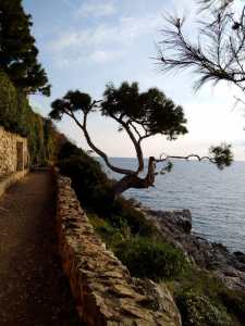 Cap Ferrat, 10 mars 2022 - photo par William Eaton