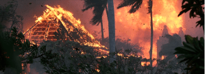 Maui fire, church burning - photo by Matthew Thayer, AP, cropped