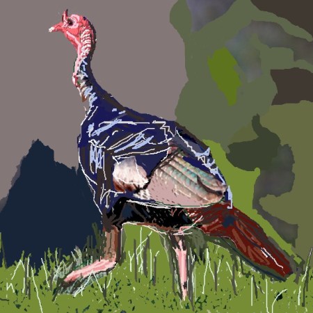 My turkey (for Thanksgiving 2023) - William Eaton