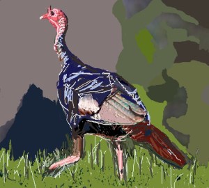 My turkey (for Thanksgiving 2023) - William Eaton