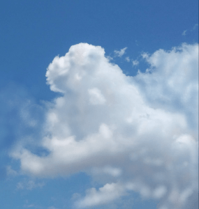A cloud over le Jardin des Plantes, Paris, photographed and enhanced by the artist - William Eaton, juin 2024