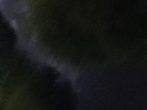 Photo by William Eaton (2024) of fireworks, which look like forest, ravine, torrent