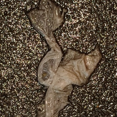 Wet-paper woman found on a Paris sidewalk, December 2024 - photo by William Eaton