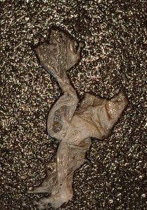 Wet-paper woman found on a Paris sidewalk, December 2024 - photo by William Eaton