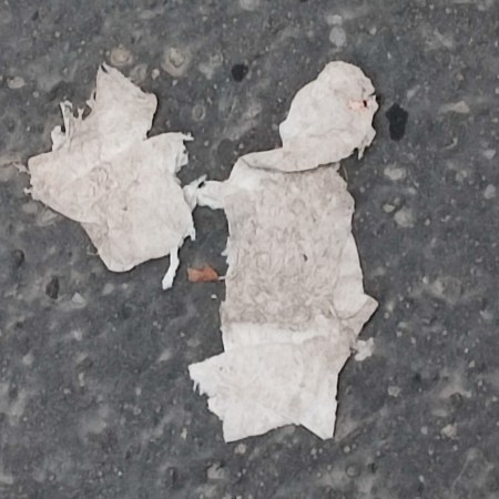 Paris sidewalk photo, William Eaton, jan 2025 - an outraged man with a being in a bucket