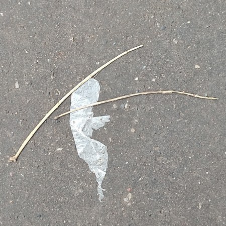 Photo by William Eaton, Paris sidewalk, 2024 - white being with sticks