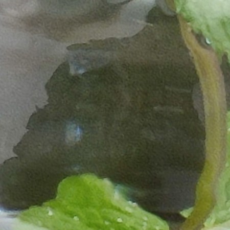 Street photography (a sort of rhinoceros in the weeds), by William Eaton, décembre 2024