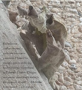 Photograph of curled up leaves, William Eaton, Paris, déc 2024