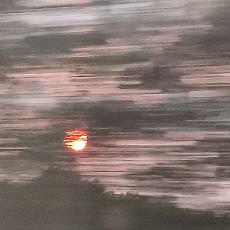 Photo from TGV train window, France - William Eaton, juin 2025