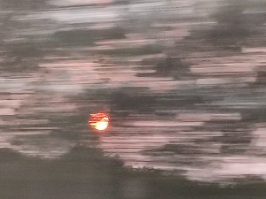 Photo from TGV train window, France - William Eaton, juin 2025