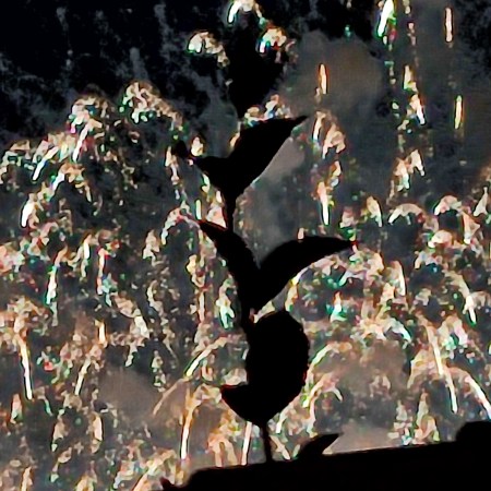 La Flotte, Ile de Ré; France, août 2025, photo by William Eaton