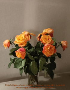 Photo des roses un peu fanées - par William Eaton, 2025