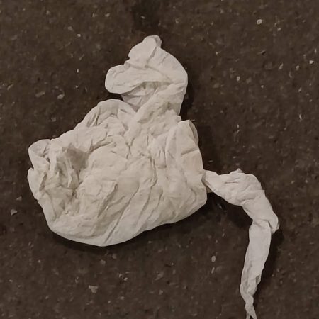 Figure of tissue for poem about old age - William Eaton, 2025