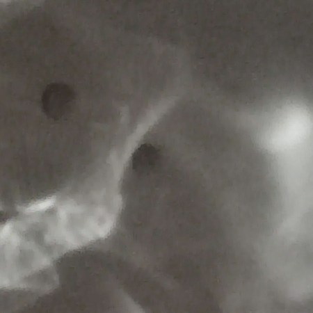 Could this photo, by William Eaton (2026) speak of human failings or love or hope?