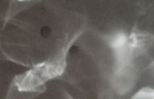 Could this photo, by William Eaton (2026) speak of human failings or love or hope?