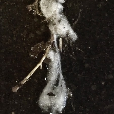 Sidewalk photo, Place Jussieu, Paris - William Eaton, jan 2025